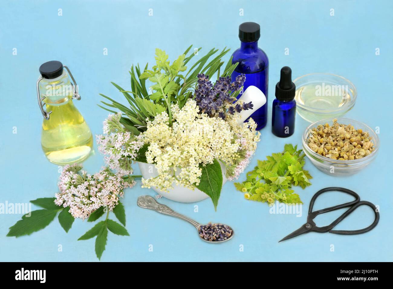 Naturopathic herbal plant medicine with valerian, chamomile, lavender, elderflower herbs with preparation equipment. A tranquilizer, reduces anxiety. Stock Photo
