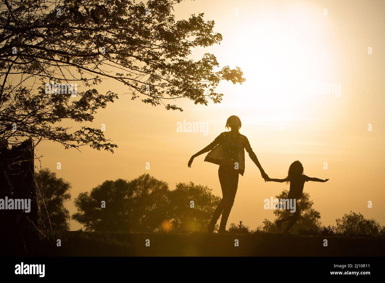 Silhouette of happy children walking around in a park at sunset Stock ...