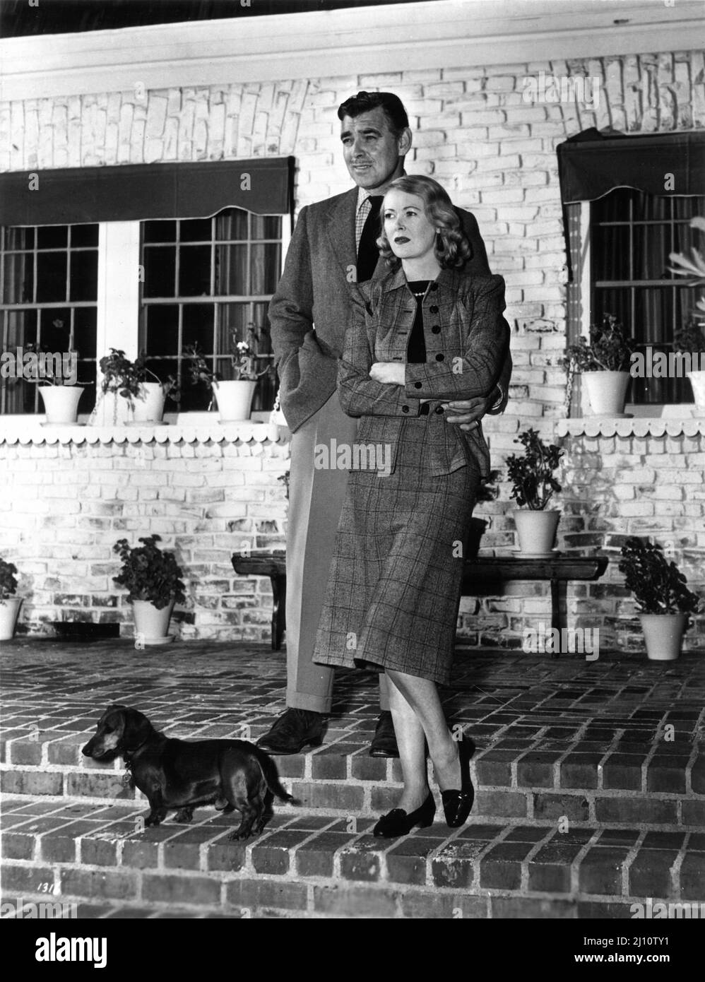 Newlyweds CLARK GABLE and his 4th Wife SYLVIA ASHLEY at Gable's Encino Ranch in California with his pet Dachshund Dog ROVER in early 1950 publicity for Metro Goldwyn Mayer Stock Photo