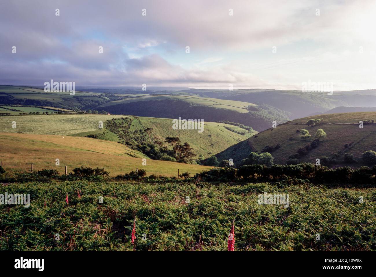 Exmoor bei Lynton Stock Photo Alamy