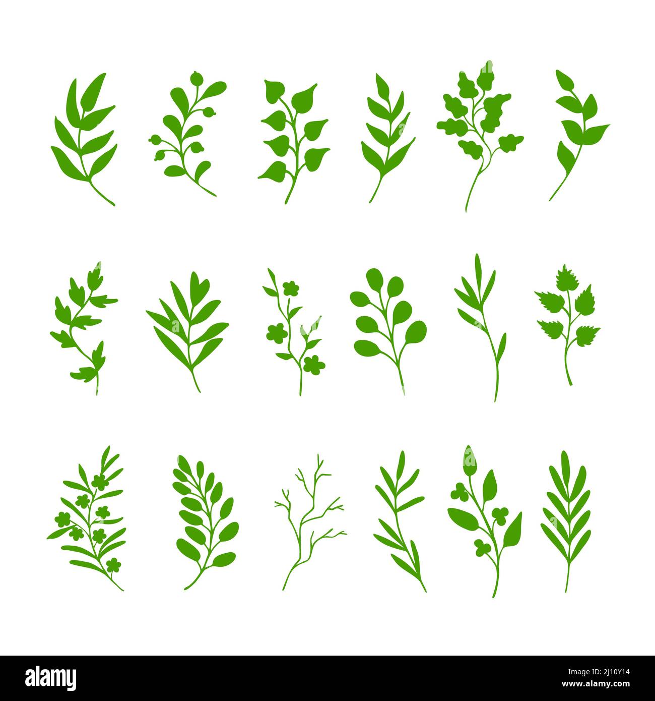 Leaves, herbs, twigs, green silhouettes on white background. Hand drawn design. Eco, bio springtime symbols. Collection of clip art elements Stock Photo