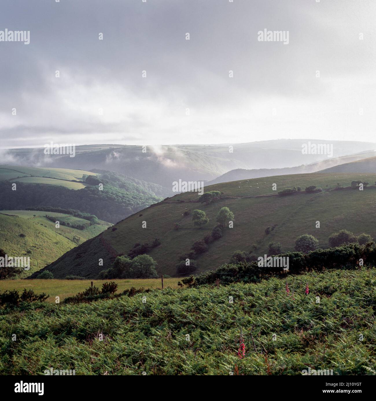 Exmoor bei Lynton, Nationalpark Stock Photo Alamy