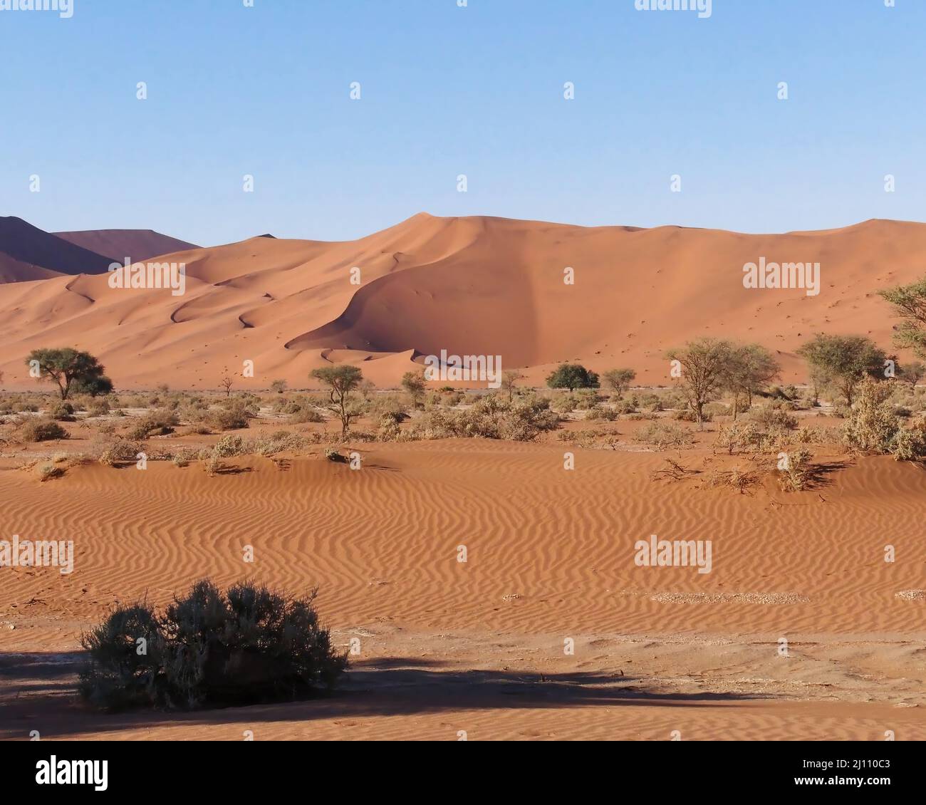 Beautiful landscape of the Namib desert in Namibia Stock Photo - Alamy