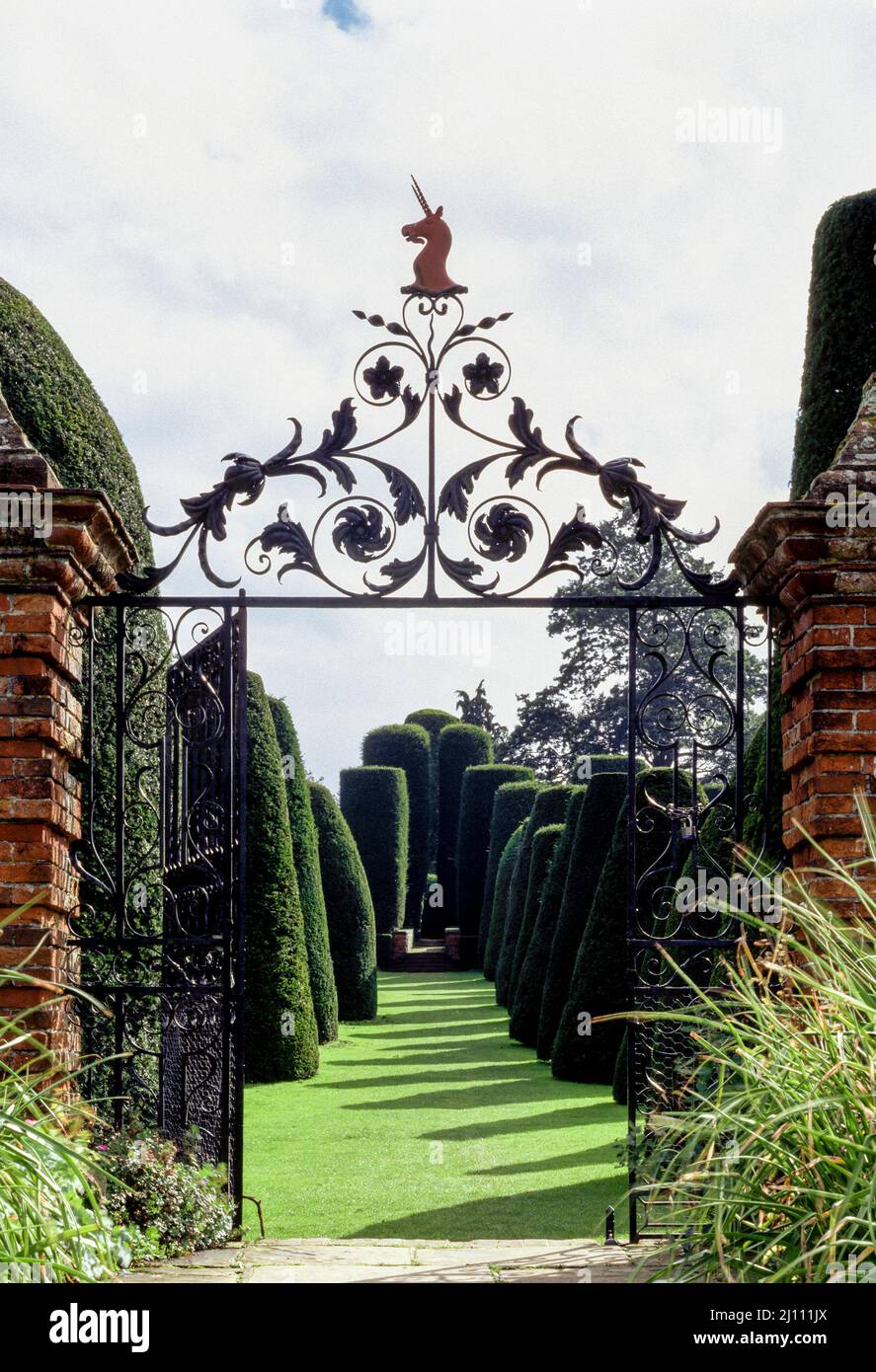 Packwood House, 'Multitude“, Eibenallee Stock Photo