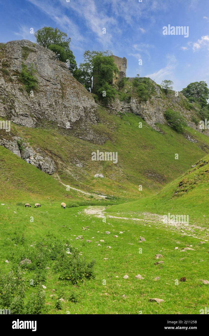 Peveril Castle on the hillside in Cave Dale (or Cavedale), a dry limestone valley in the Derbyshire Peak District, Castleton, Derbyshire, England, UK Stock Photo