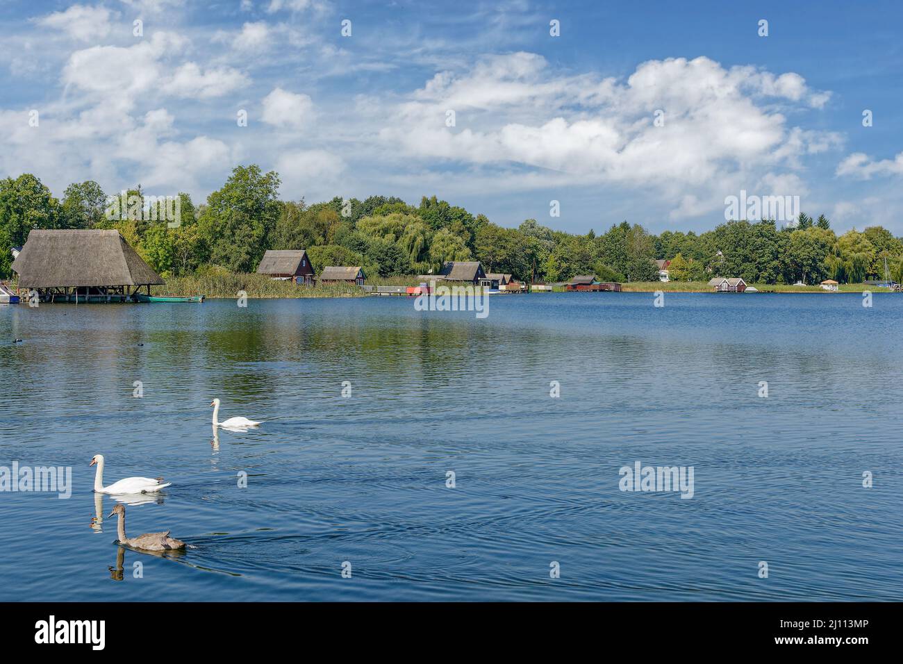idyllic Lake in Mueritz National Park,Mecklenburg Lake District,Germany Stock Photo