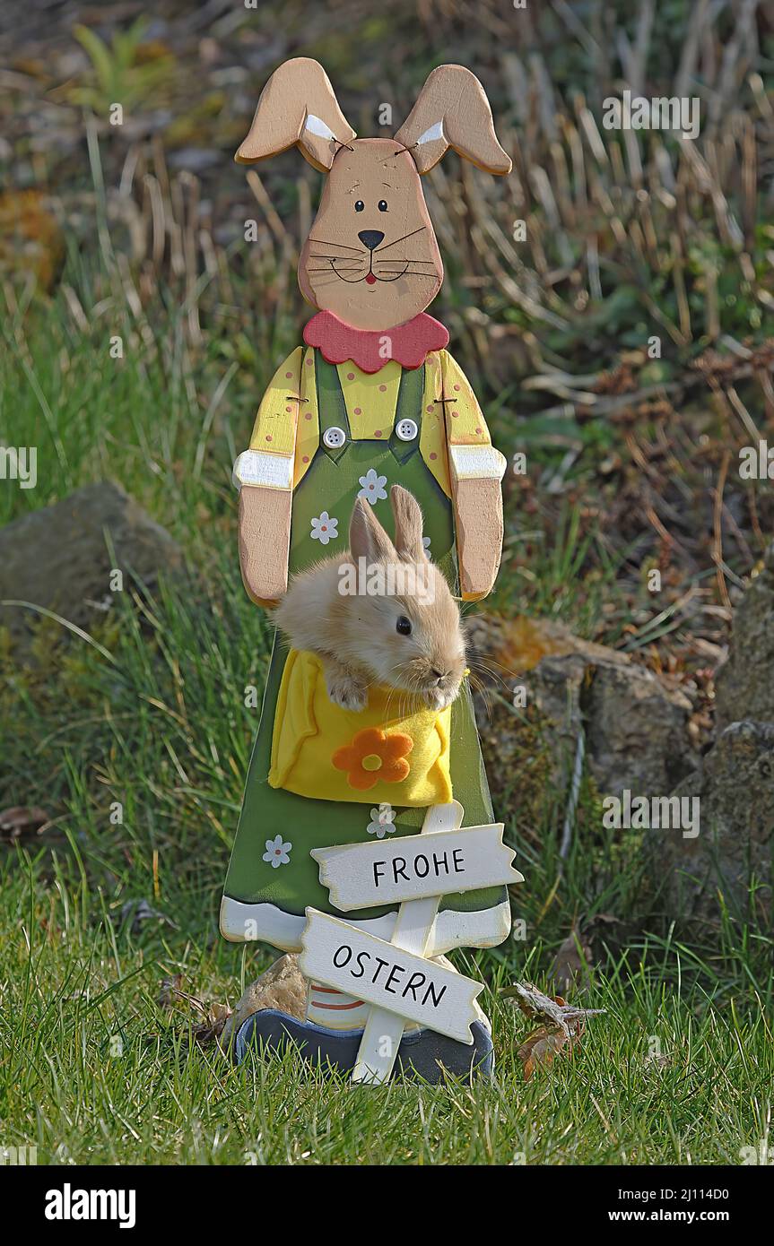 Frohe Ostern, Junger Hase zusammen mit einer Holzfigur zum Thema Ostern Stock Photo