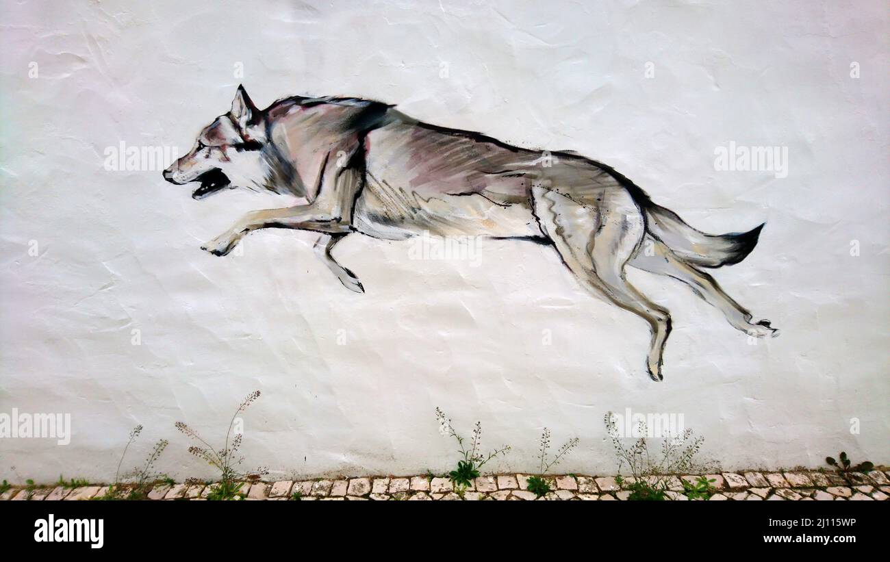 Graffiti Wolf in Lagos Portugal Stock Photo