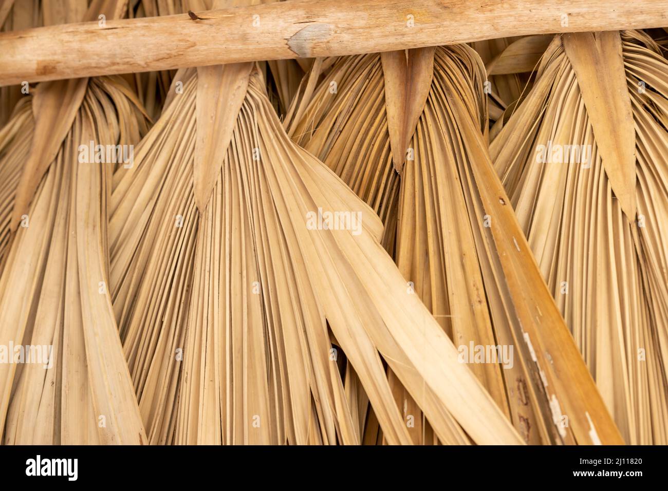 Palm tree roof, dry palm leaves abstract background texture Stock Photo