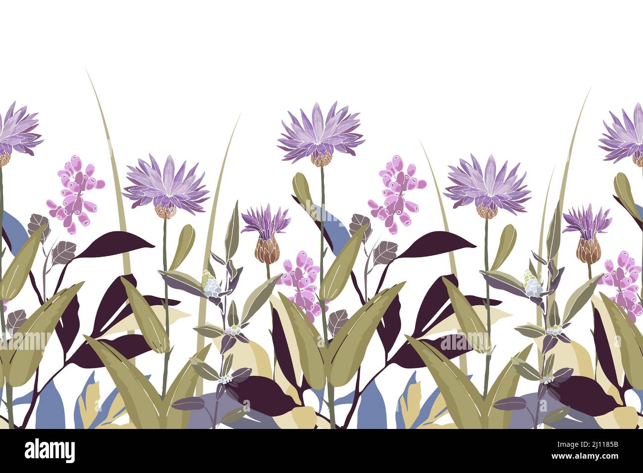 Vector floral seamless pattern, border. Horizontal panoramic design with purple cornflowers. Stock Vector