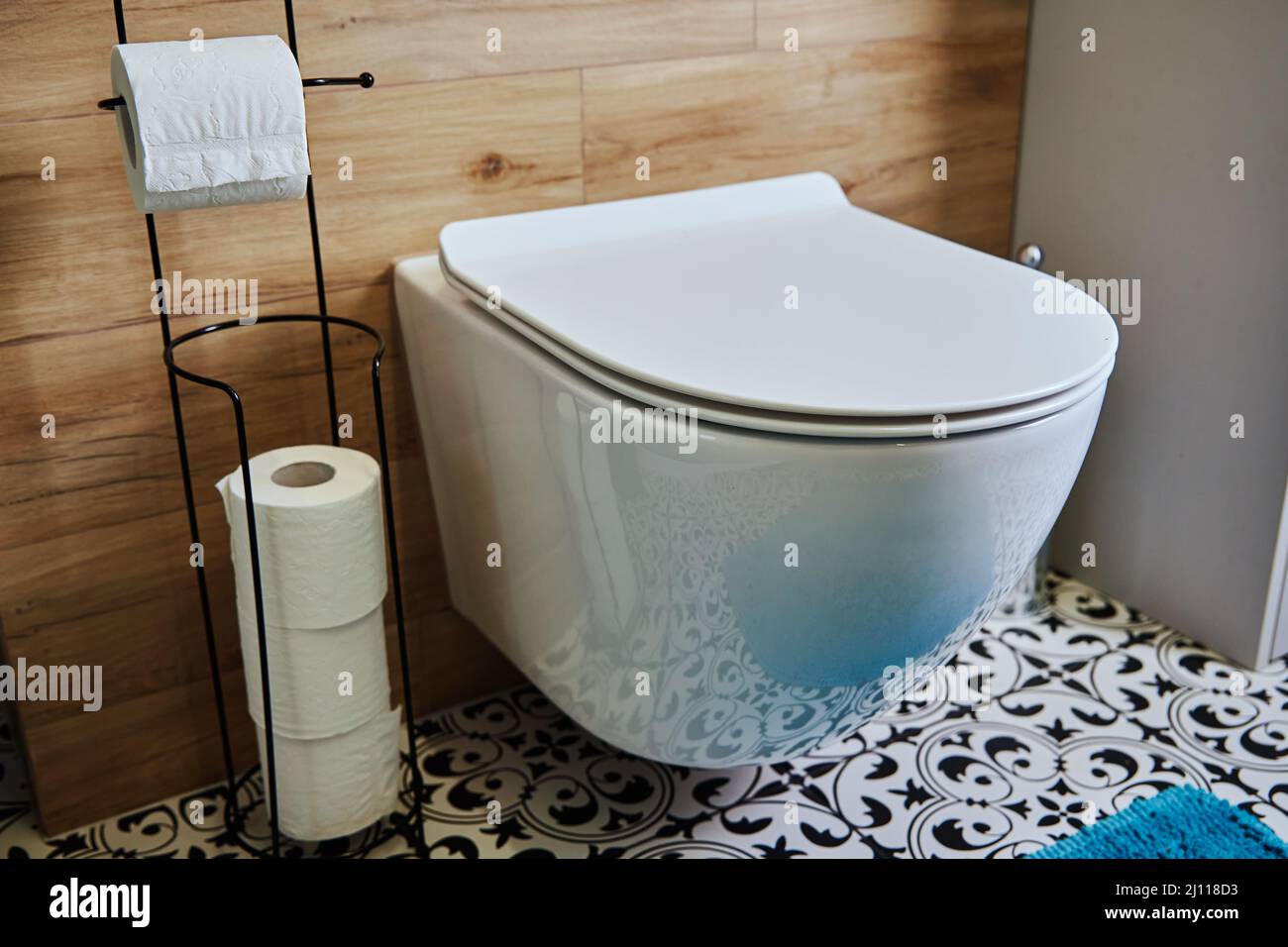 Ceramic toilet bowl and toilet paper in bathroom interior Stock Photo ...