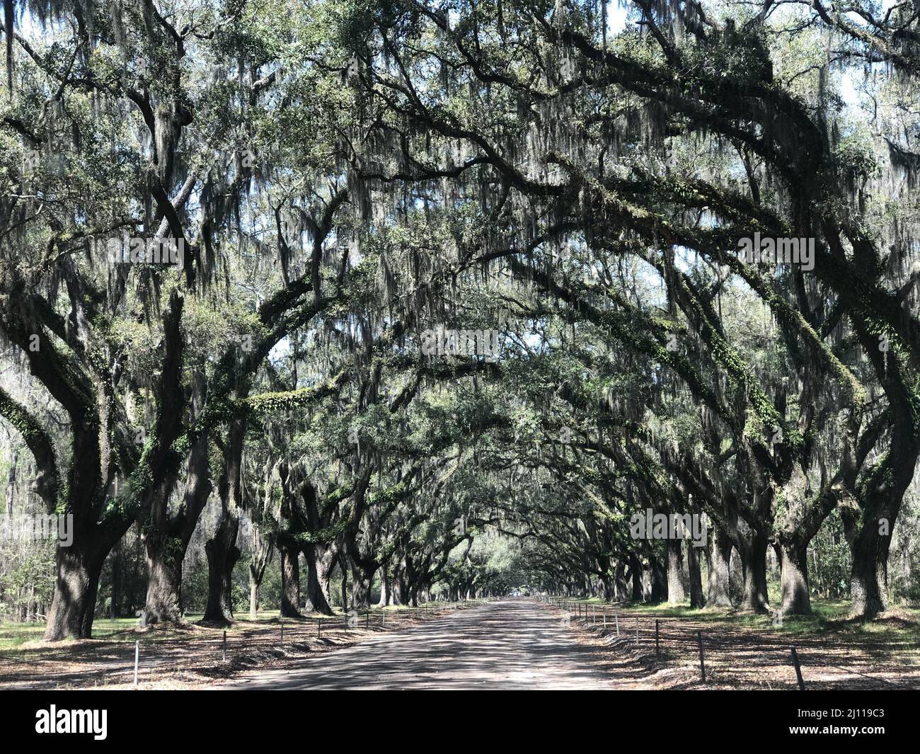 Pathway covered hi-res stock photography and images - Alamy