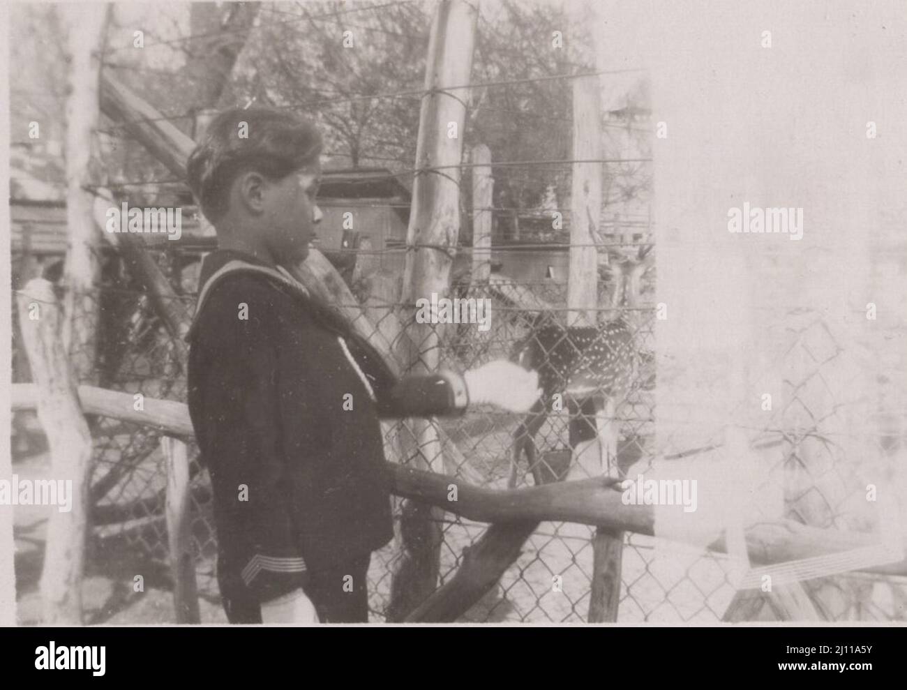 Vintage zoo animals hi-res stock photography and images - Alamy