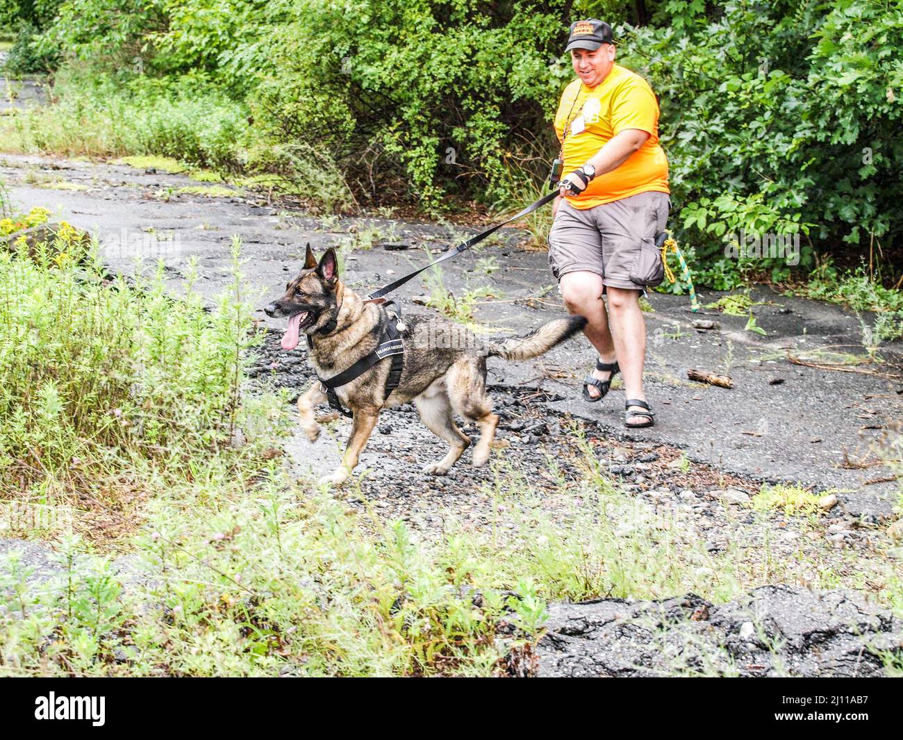 Search and Rescue Dog. Water Rescue Drill Stock Photo