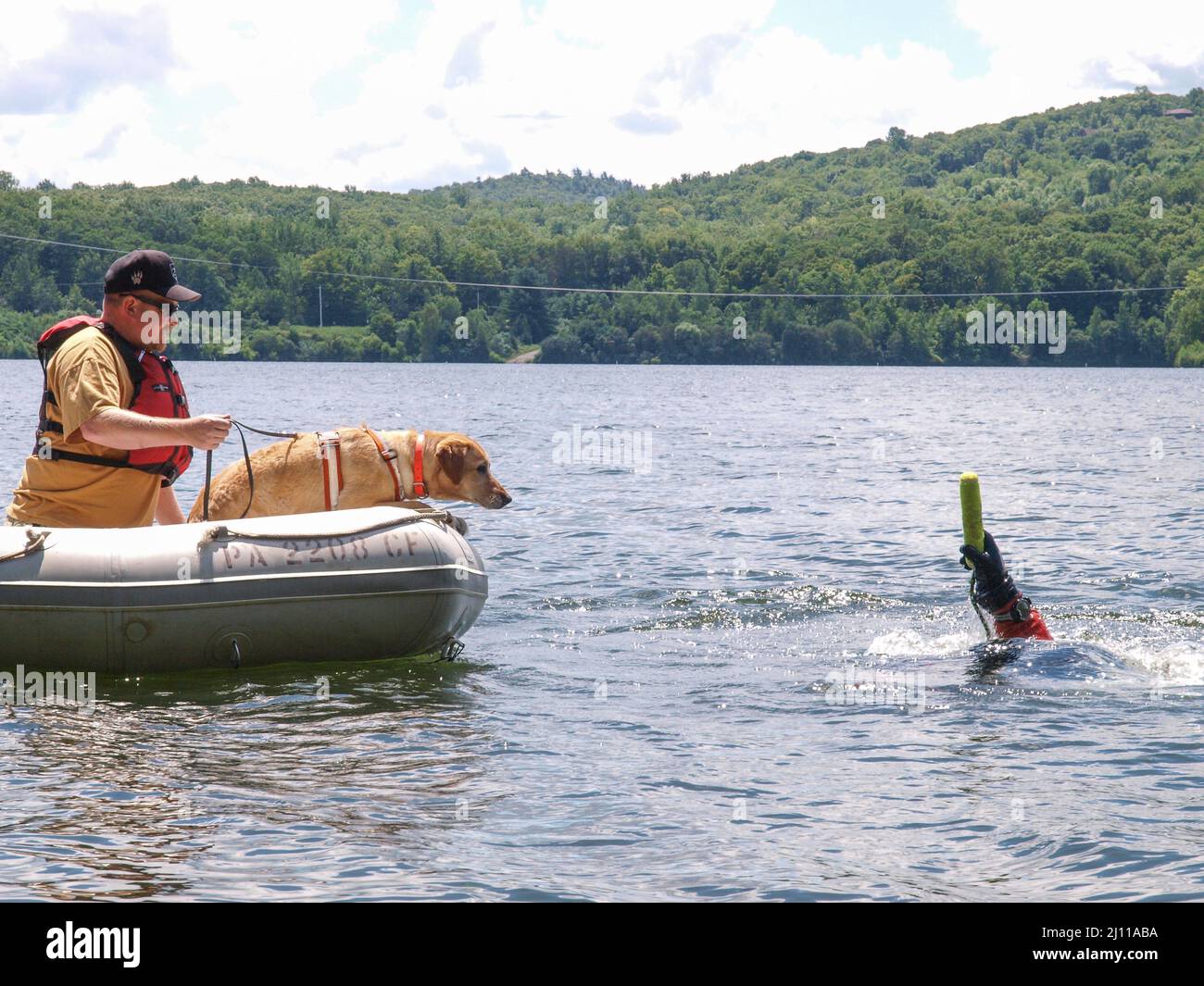 Search and Rescue Dog. Water Rescue Drill Stock Photo Alamy