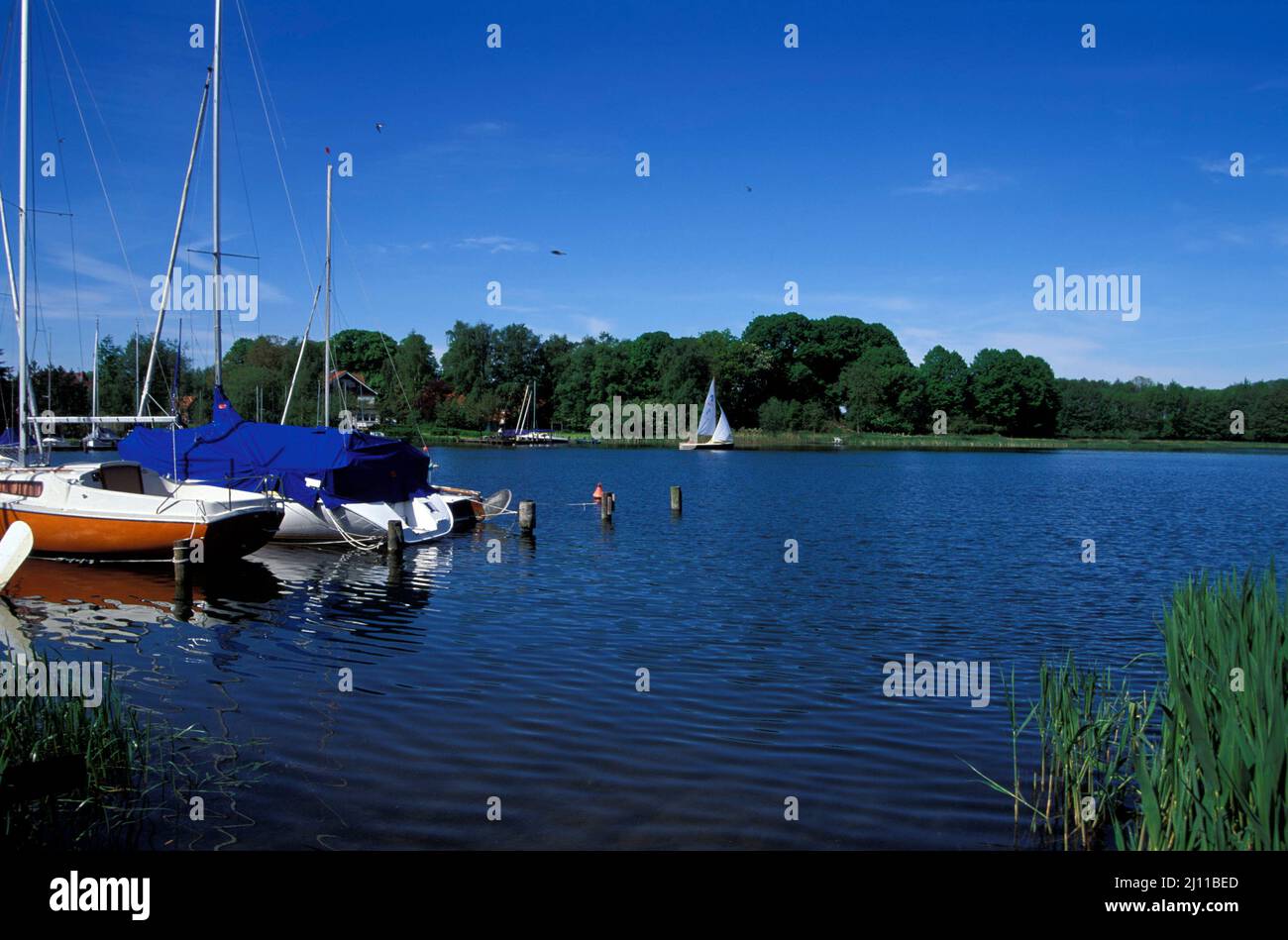 Lake Ploen, sailing boats in Bosau, Holstein Switzerland, Schleswig-Holstein, Germany, Europe Stock Photo