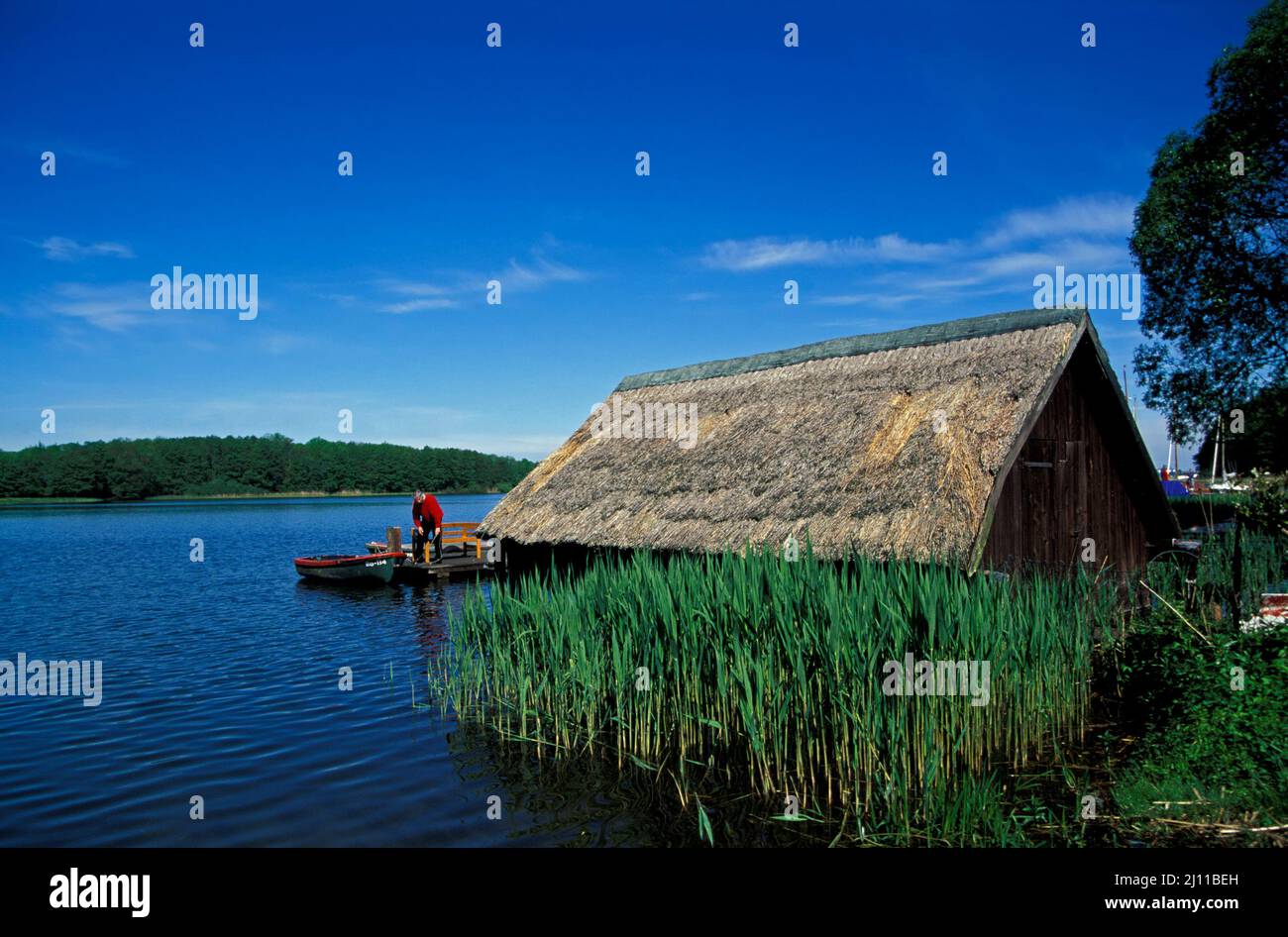 Lake Ploen in  Bosau,   Holstein Switzerland, Schleswig-Holstein, Germany, Europe Stock Photo