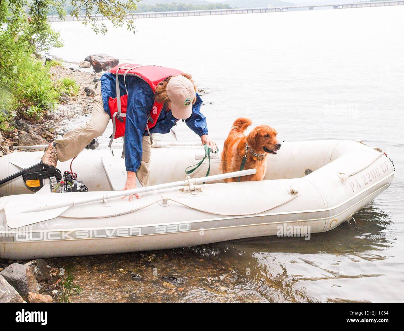 Search and Rescue Dog. Water Rescue Drill Stock Photo Alamy