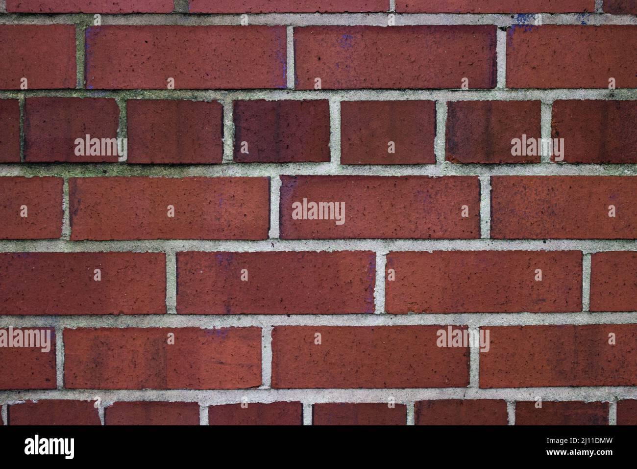 Image of a Brick Wall, Piece By Piece, Brick by Brick, Wall, Solid