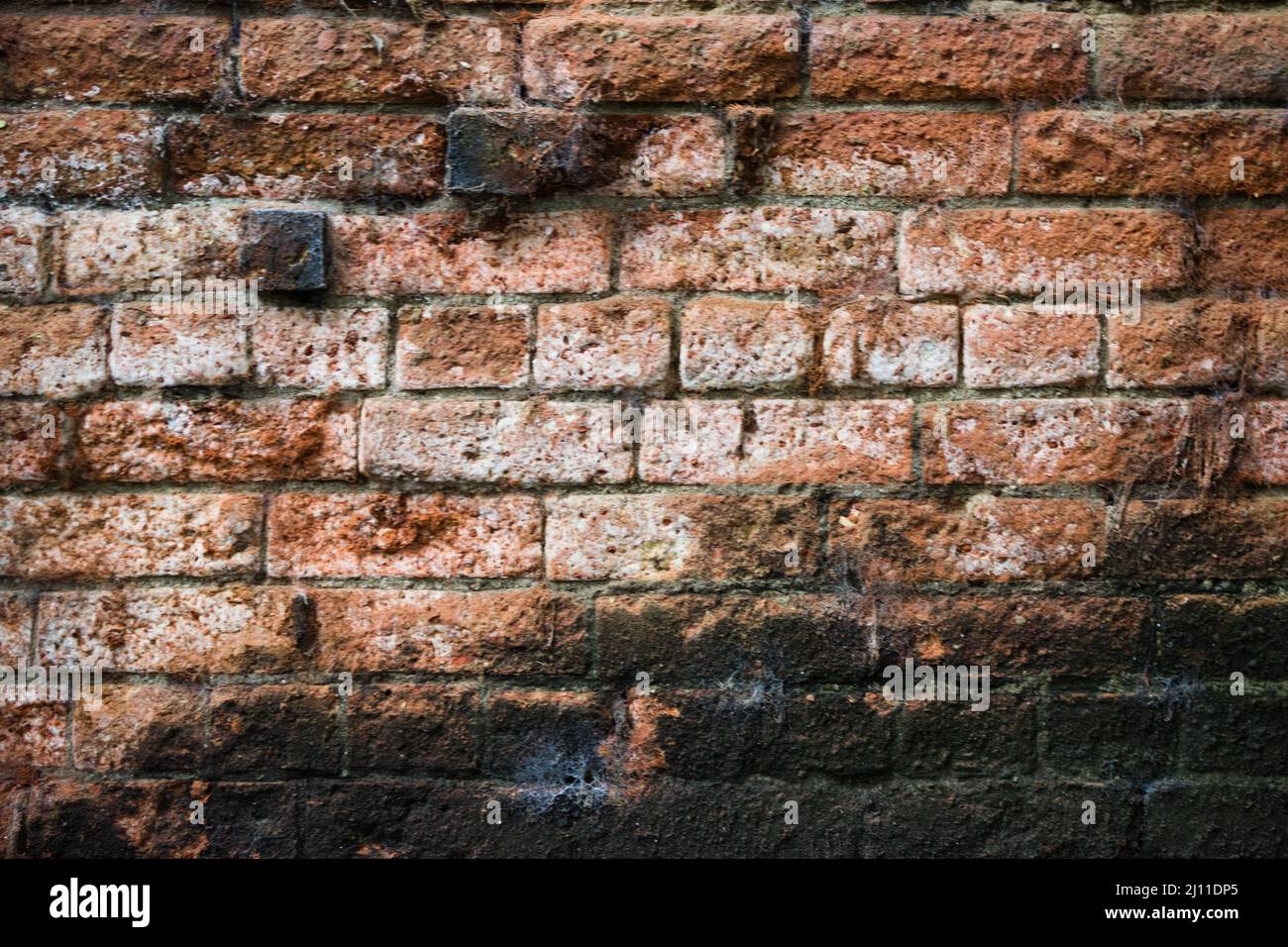 Image of a Brick Wall, Piece By Piece, Brick by Brick, Wall, Solid