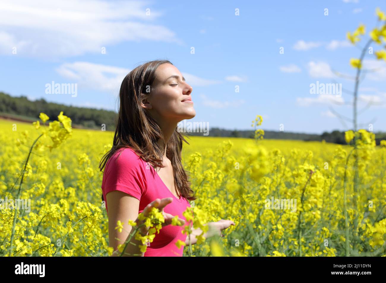 Happy woman breathing fresh air in the middle of a yellow field touching plants Stock Photo
