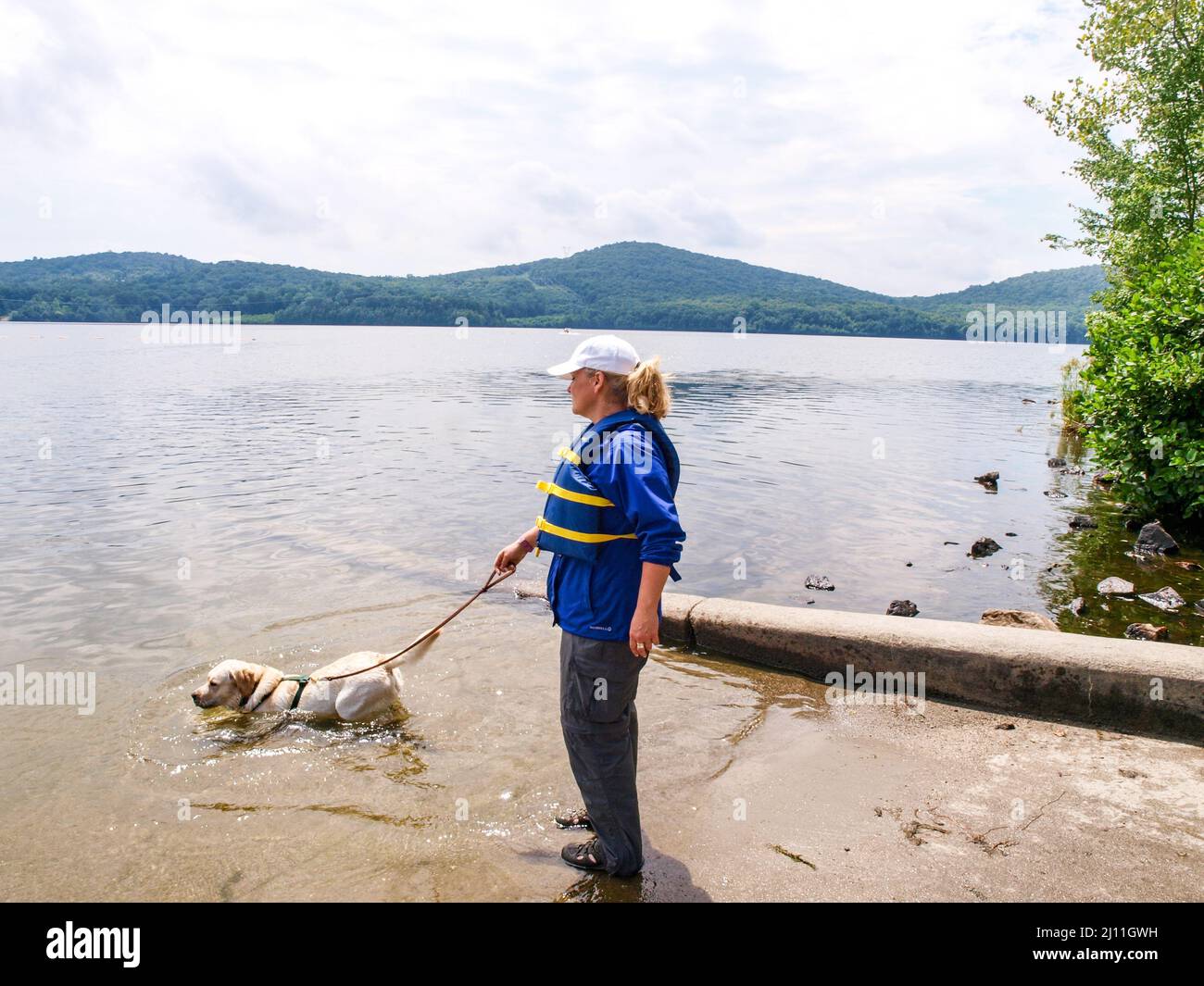 Search and Rescue Dog. Water Rescue Drill Stock Photo Alamy