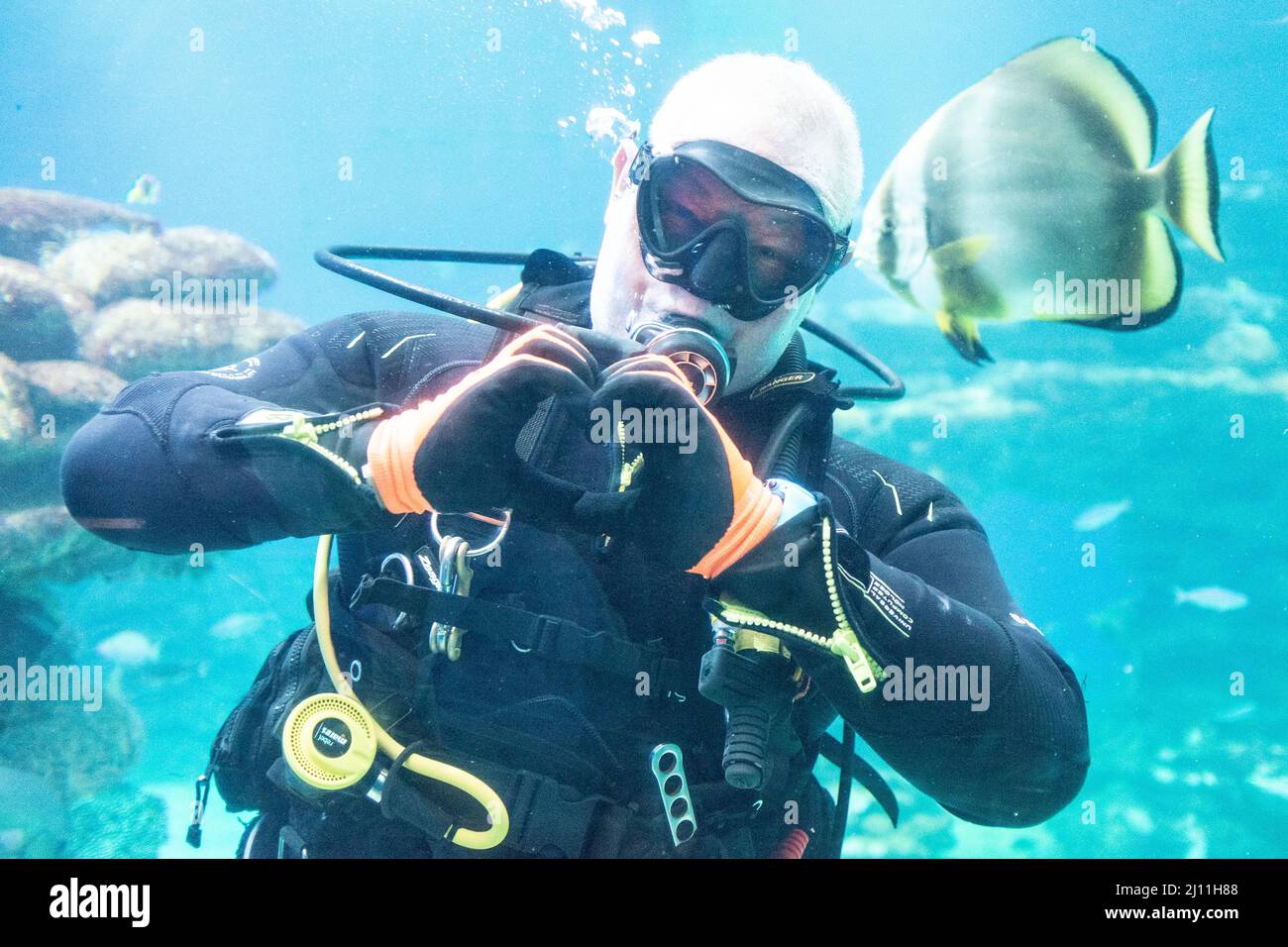Diver in underwater aquarium Stock Photo
