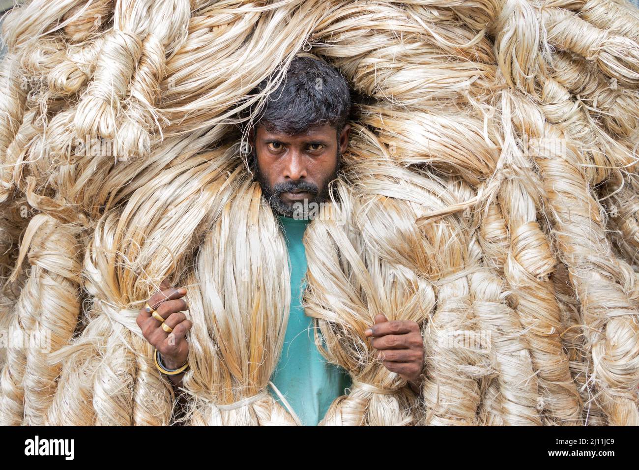 A worker carries heavy jute fibres on the shoulder in Manikganj, Bangladesh. Jute is the golden fiber of Bangladesh. Eighty percent of the world's high quality jute grows in Bangladesh. Jute is used in making cloth, shawl, ropes, carpet backing cloth, gunny bags and many other useful things. Jute bags are very suitable for packing of food grains. Bangladesh earns lots of foreign currency by exporting jute and jute products to foreign countries. Bangladesh. Stock Photo