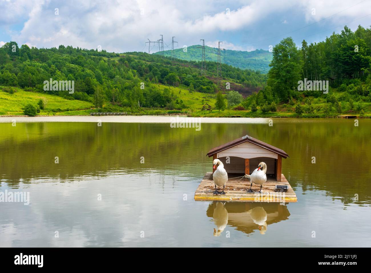 landscape with swans on the mountain lake. scenic reflection in the water. idyllic nature background in summer. beautiful white birds in peaceful outd Stock Photo