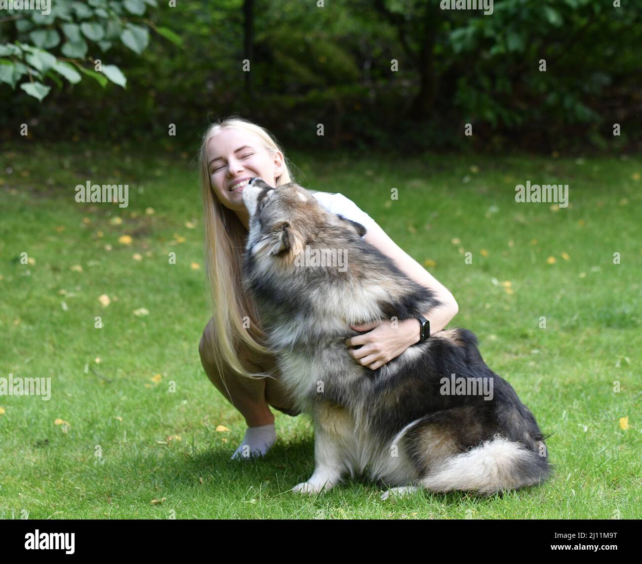 Portrait of a woman and a Finnish Lapphund dog cuddling outdoors in backyard Stock Photo