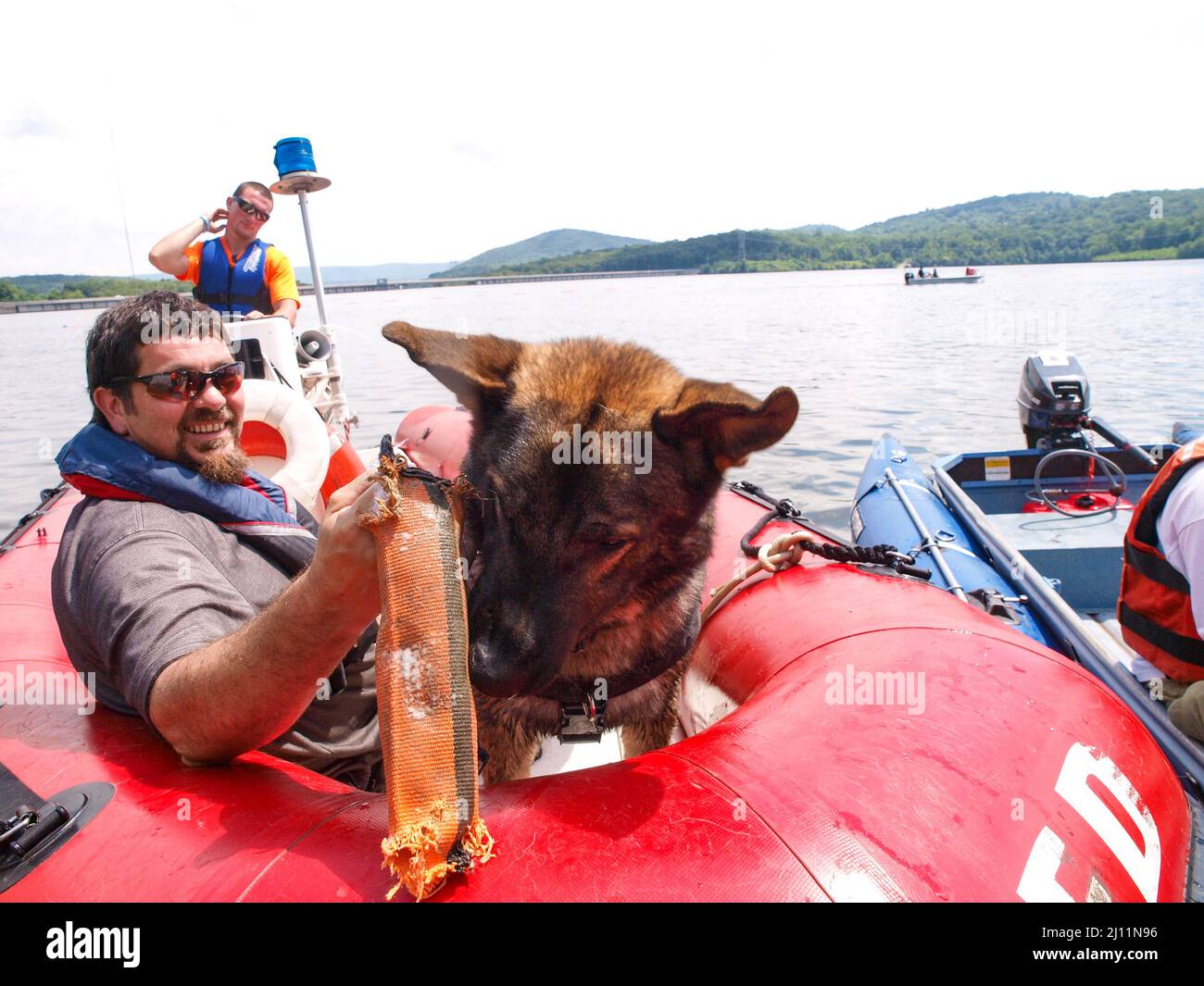 Search and Rescue Dog. Water Rescue Drill Stock Photo Alamy