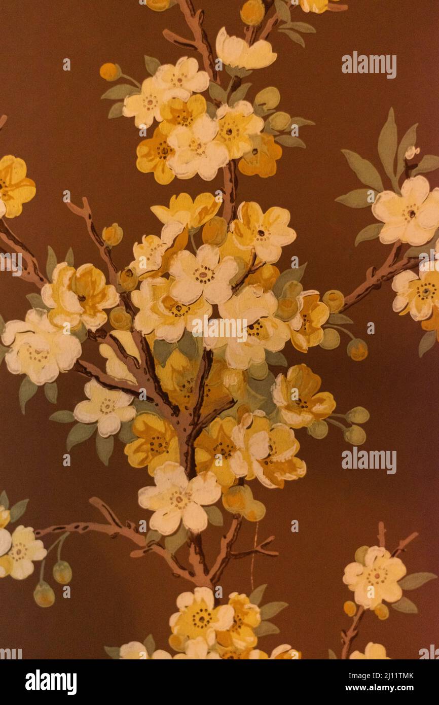 Antique floral brown wallpaper at the Riordan Mansion in Flagstaff, Arizona, U.S.A. Stock Photo