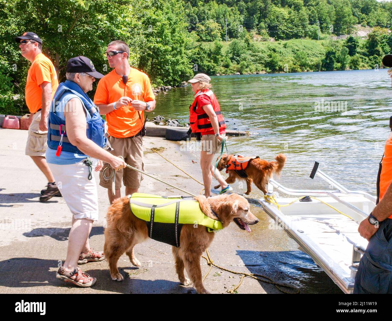 Search and Rescue Dog. Water Rescue Drill Stock Photo Alamy