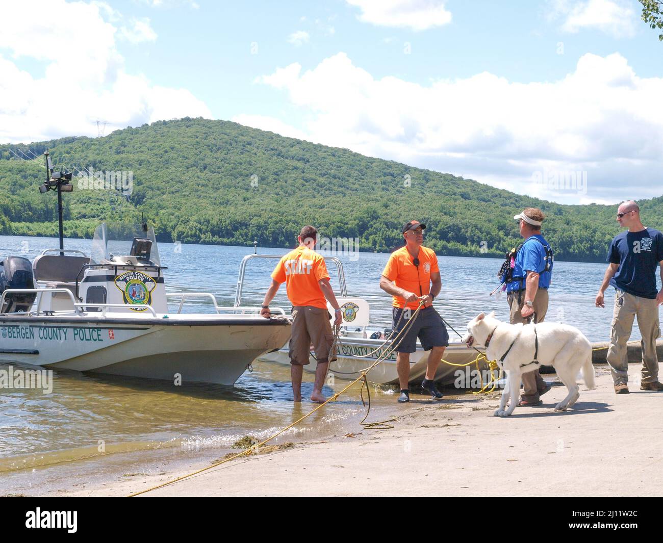 Search and Rescue Dog. Water Rescue Drill Stock Photo Alamy