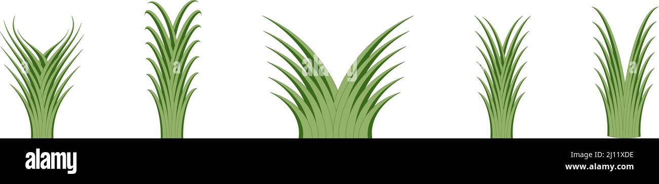 Set of green yucca plants in a abstract design - Vector Illustration Stock Vector