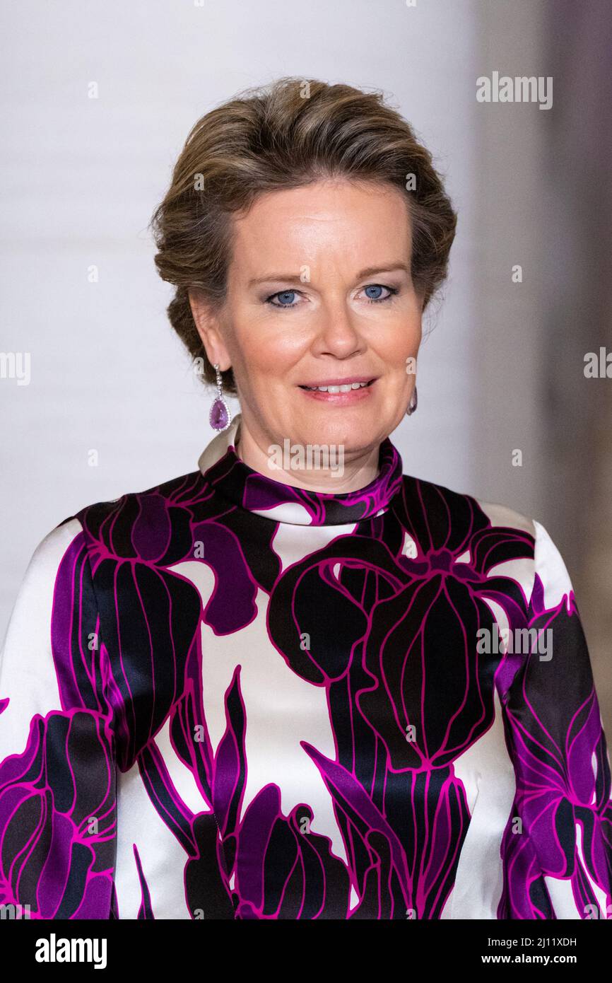 Queen Mathilde of Belgium during the Official Dinner at the Royal ...