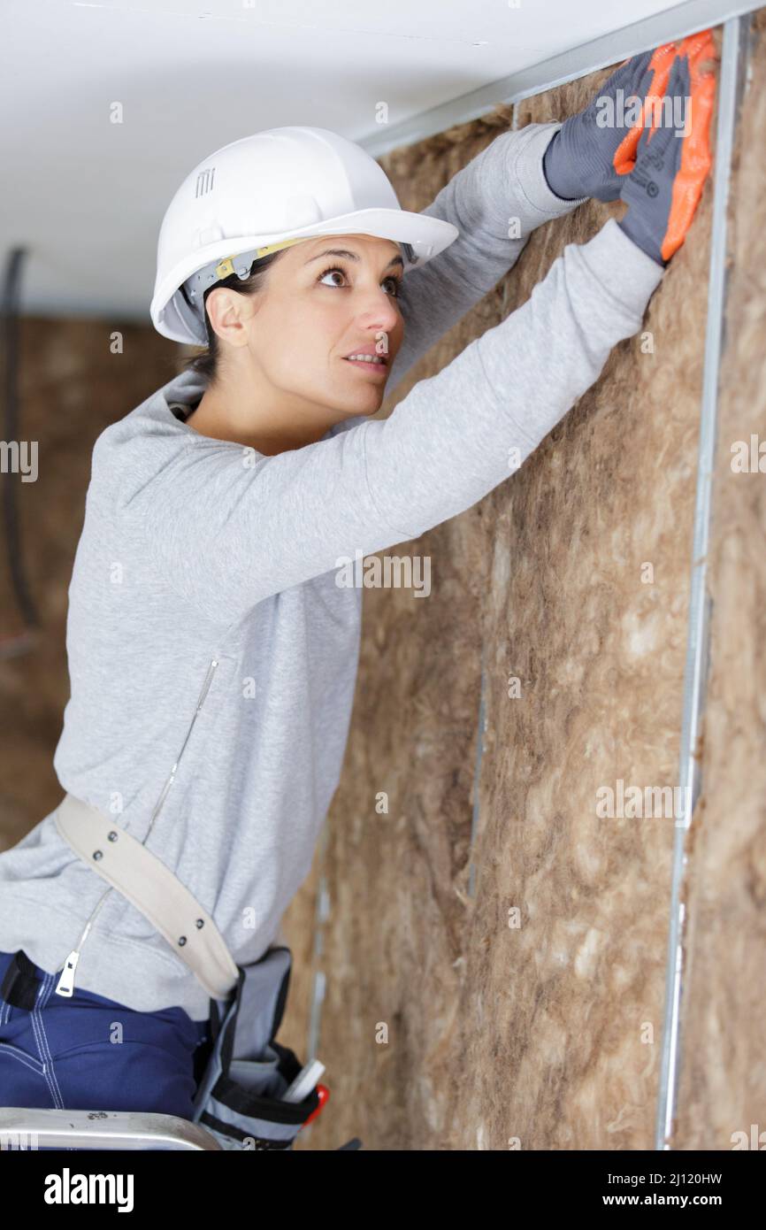 female construction worker installing insulation Stock Photo Alamy