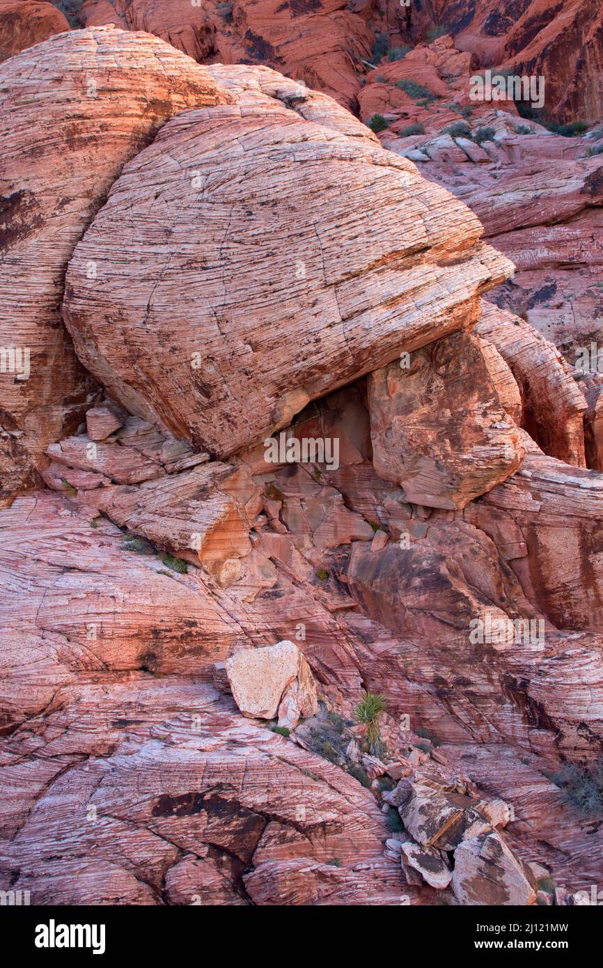 Sandstone outcrop at Calico Hills, Red Rock Canyon National Conservation Area, Nevada Stock Photo