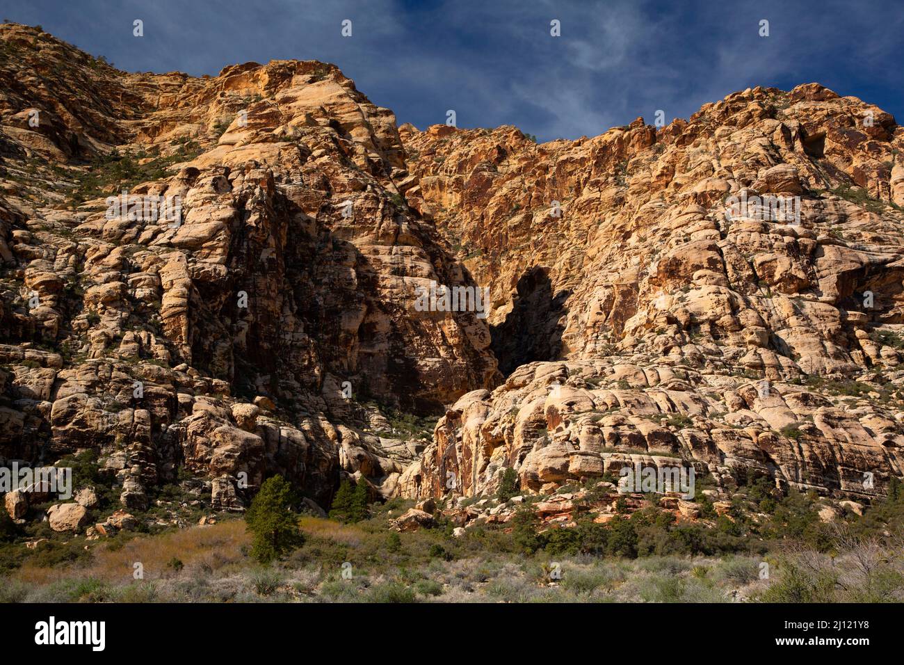 Quartz white rocks big and small background in Nevada desert Stock Photo -  Alamy