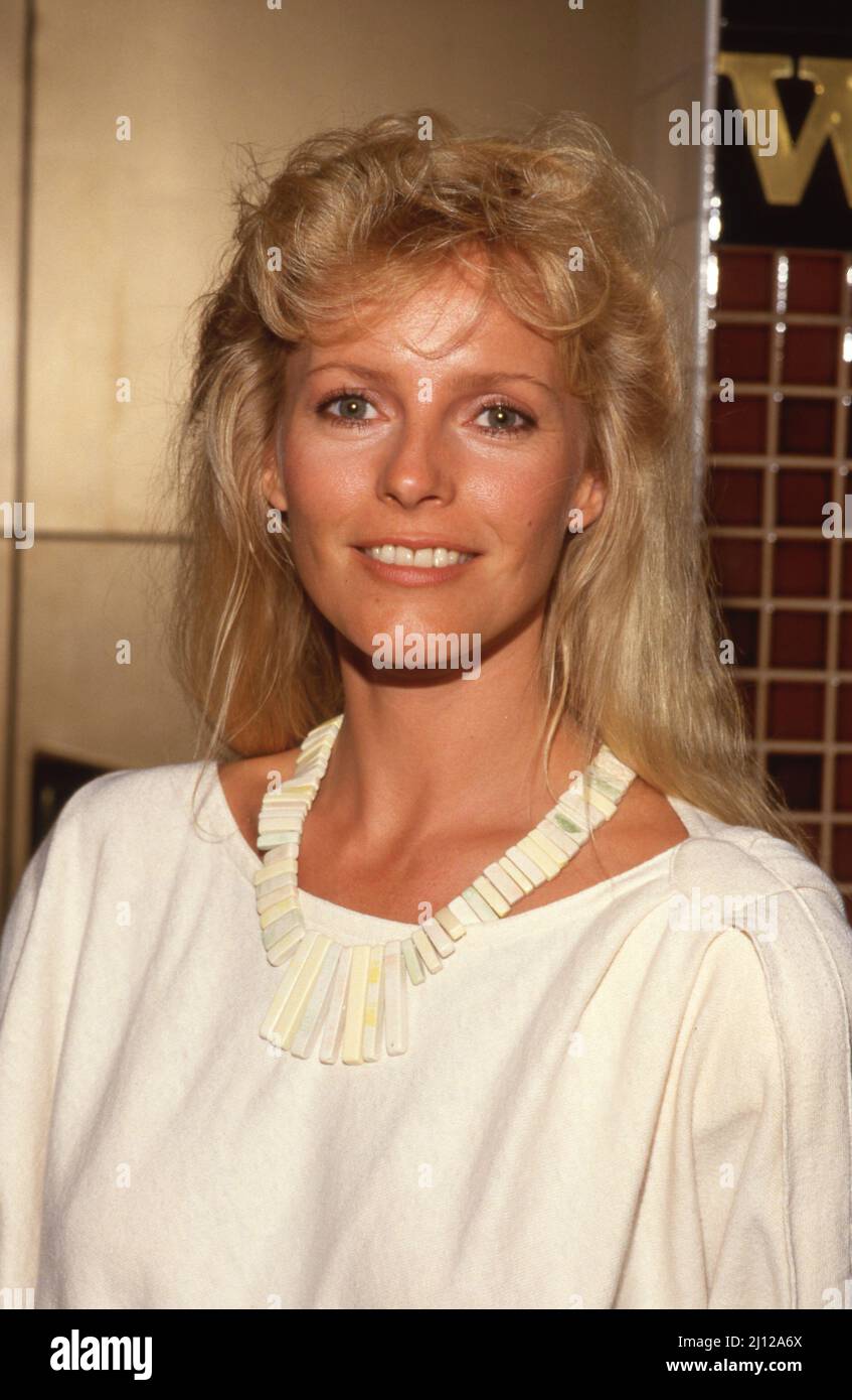 Cheryl Ladd Circa 1980's Credit Ralph Dominguez/MediaPunch Stock Photo