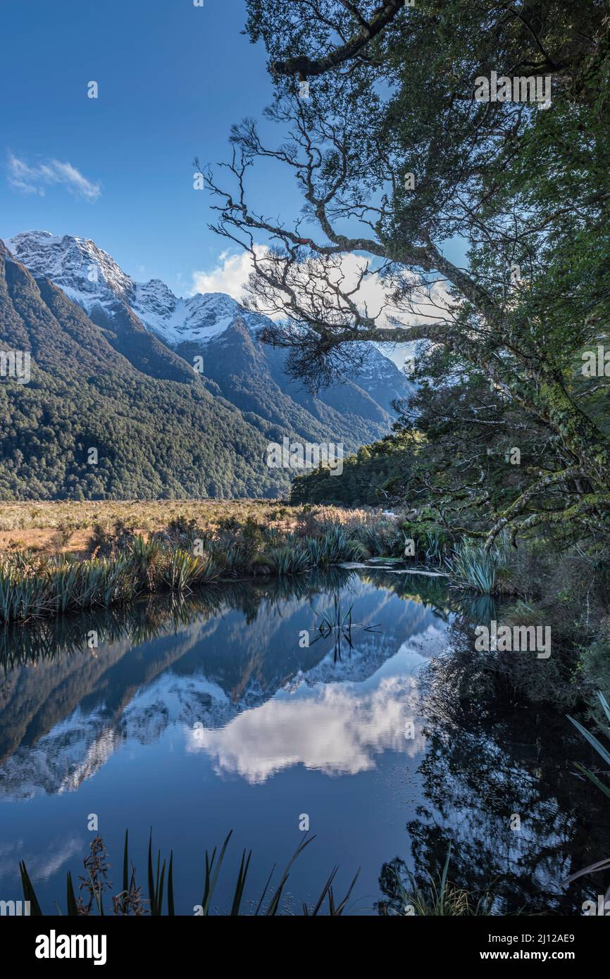 Mirror Lake Reflections, Milford  Road,New Zealand Stock Photo