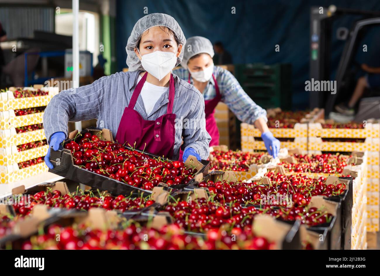 Women in cherry warehouse with mask Stock Photo Alamy