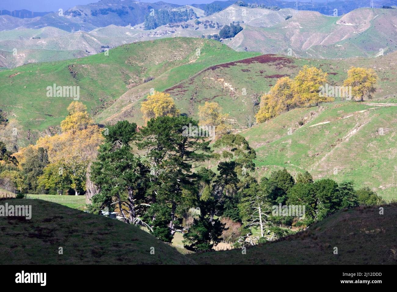 Tahora Saddle is a spectacular vantage point for the central North Island mountains and surrounding valleys. Stock Photo