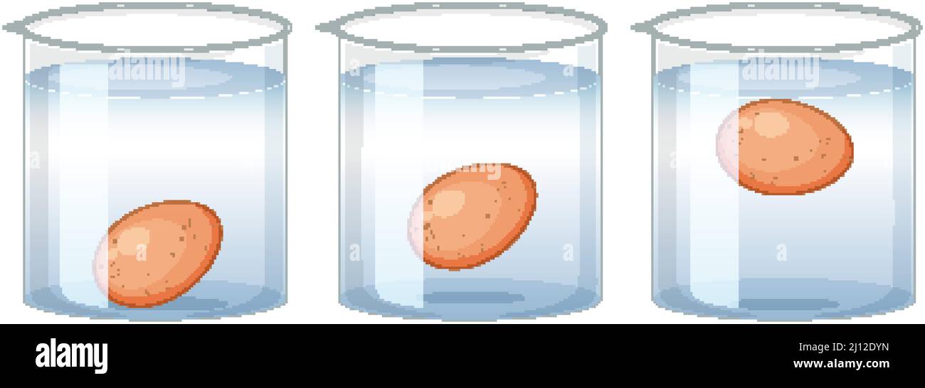 Science Experiment with test eggs for freshness illustration Stock ...