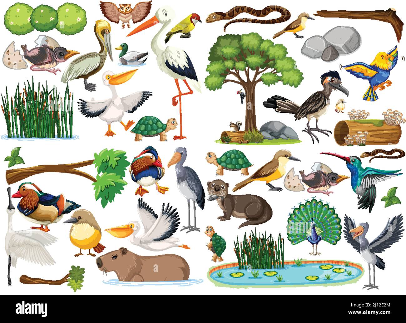 Different kinds of wild animals collection illustration Stock Vector ...