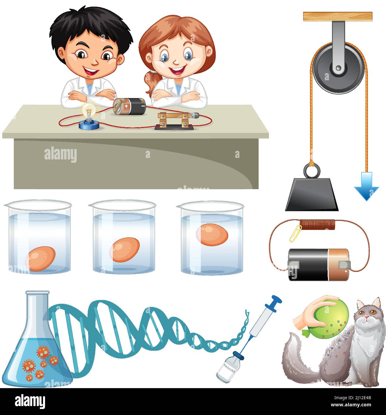 Science Experiment with test eggs for freshness illustration Stock ...