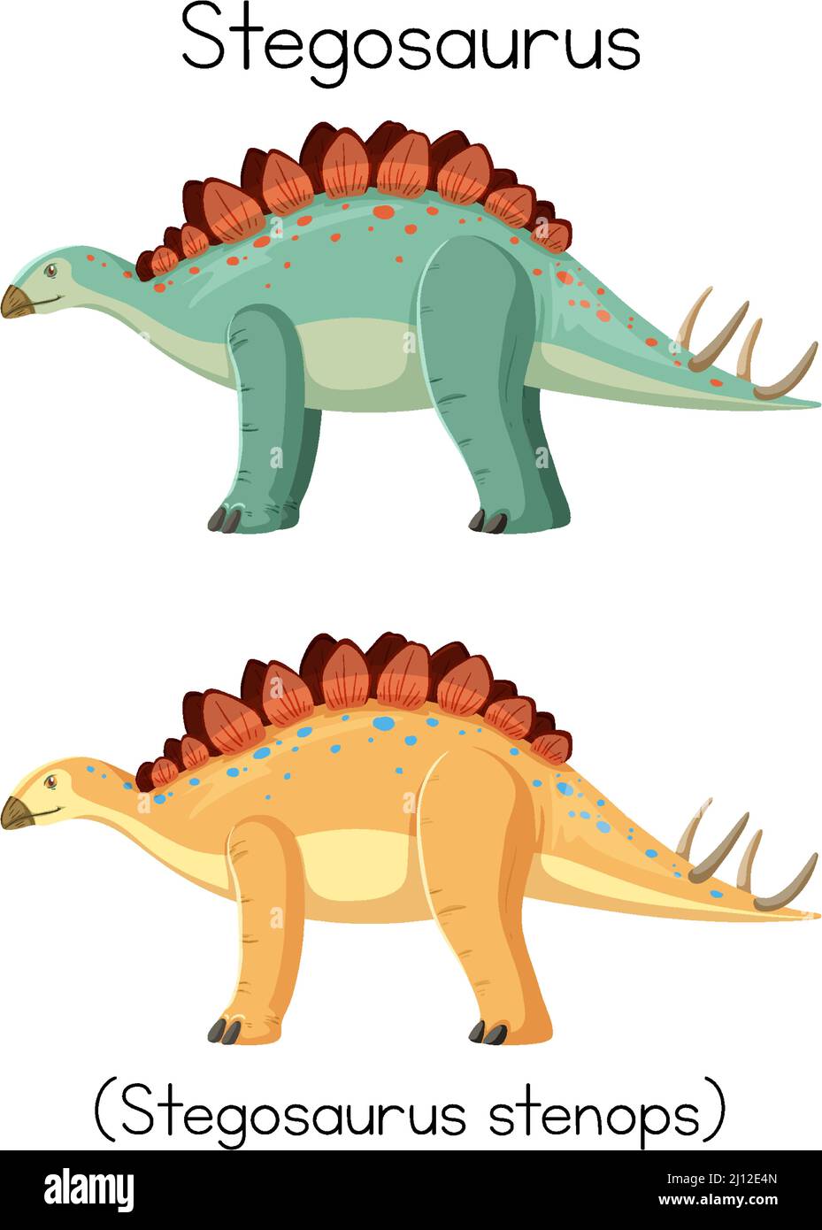 Stegosaurus in orange and green colors illustration Stock Vector Image ...