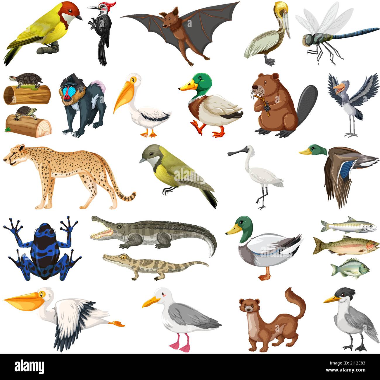 Different kinds of animals collection illustration Stock Vector Image ...