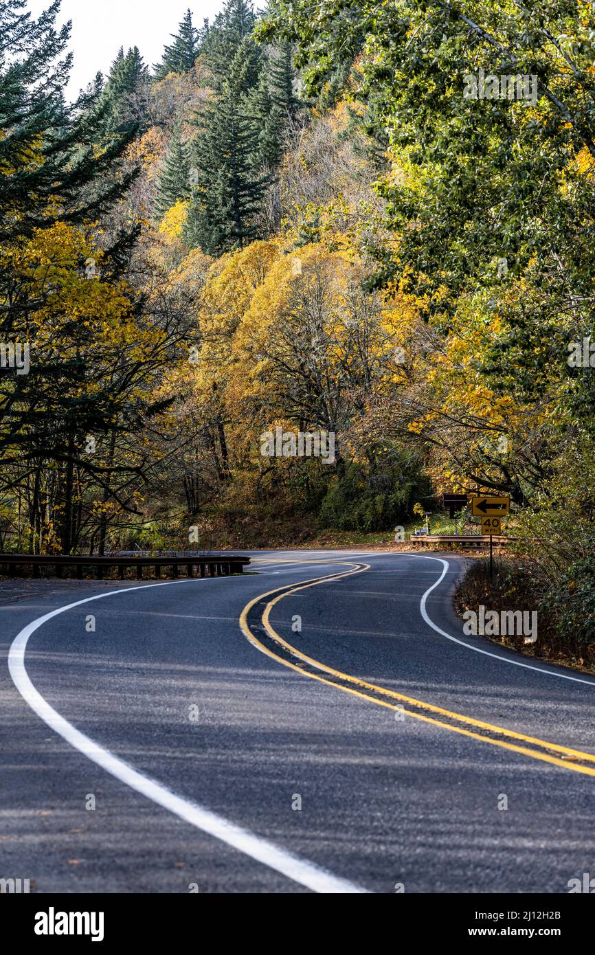 Scenic autumn landscape with a disappearing around the corner winding mountain road with markings and a security fence and yellowed forest trees on th Stock Photo