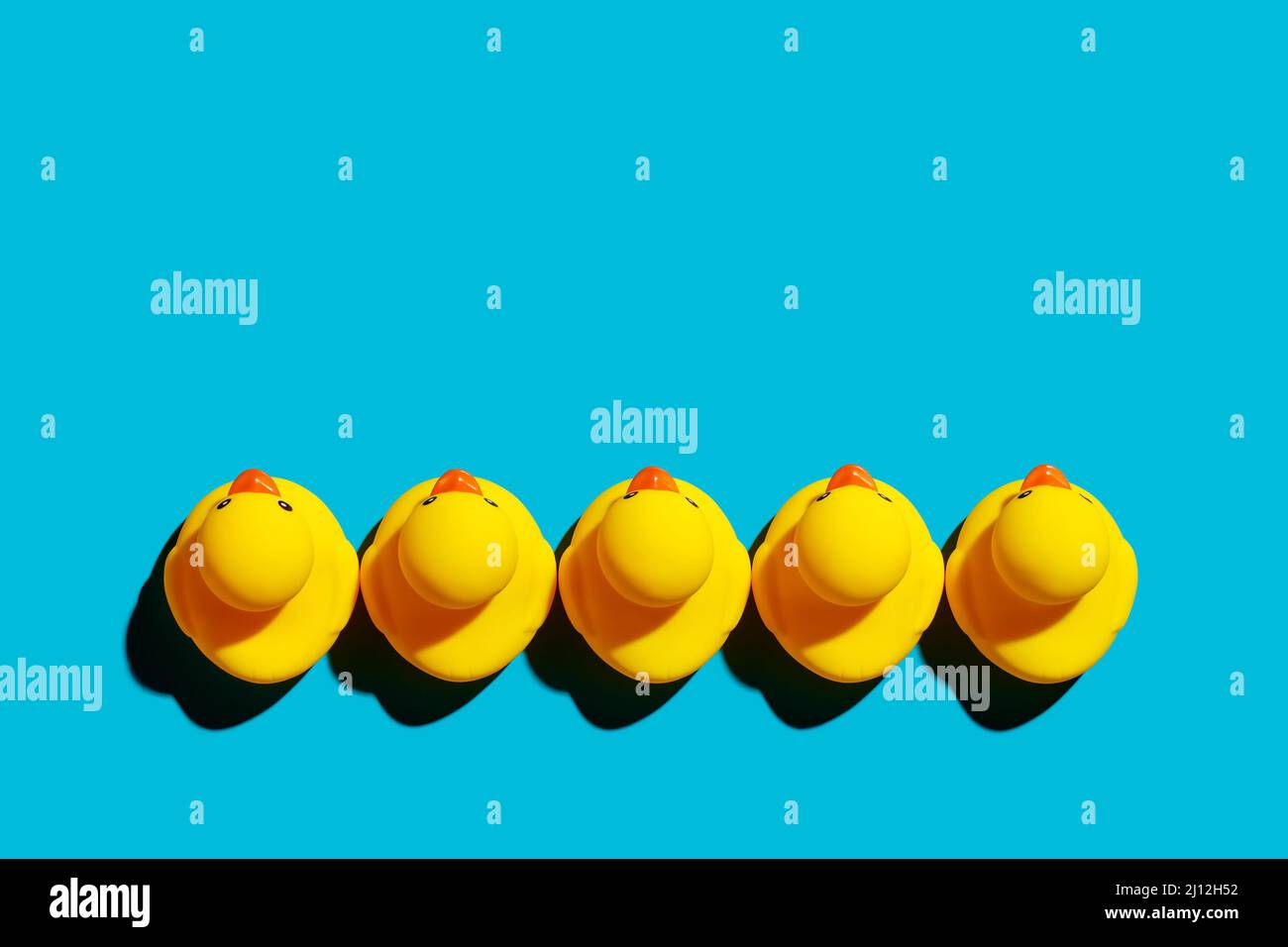 Yellow rubber ducks arranged in a row on blue background. Business team ...